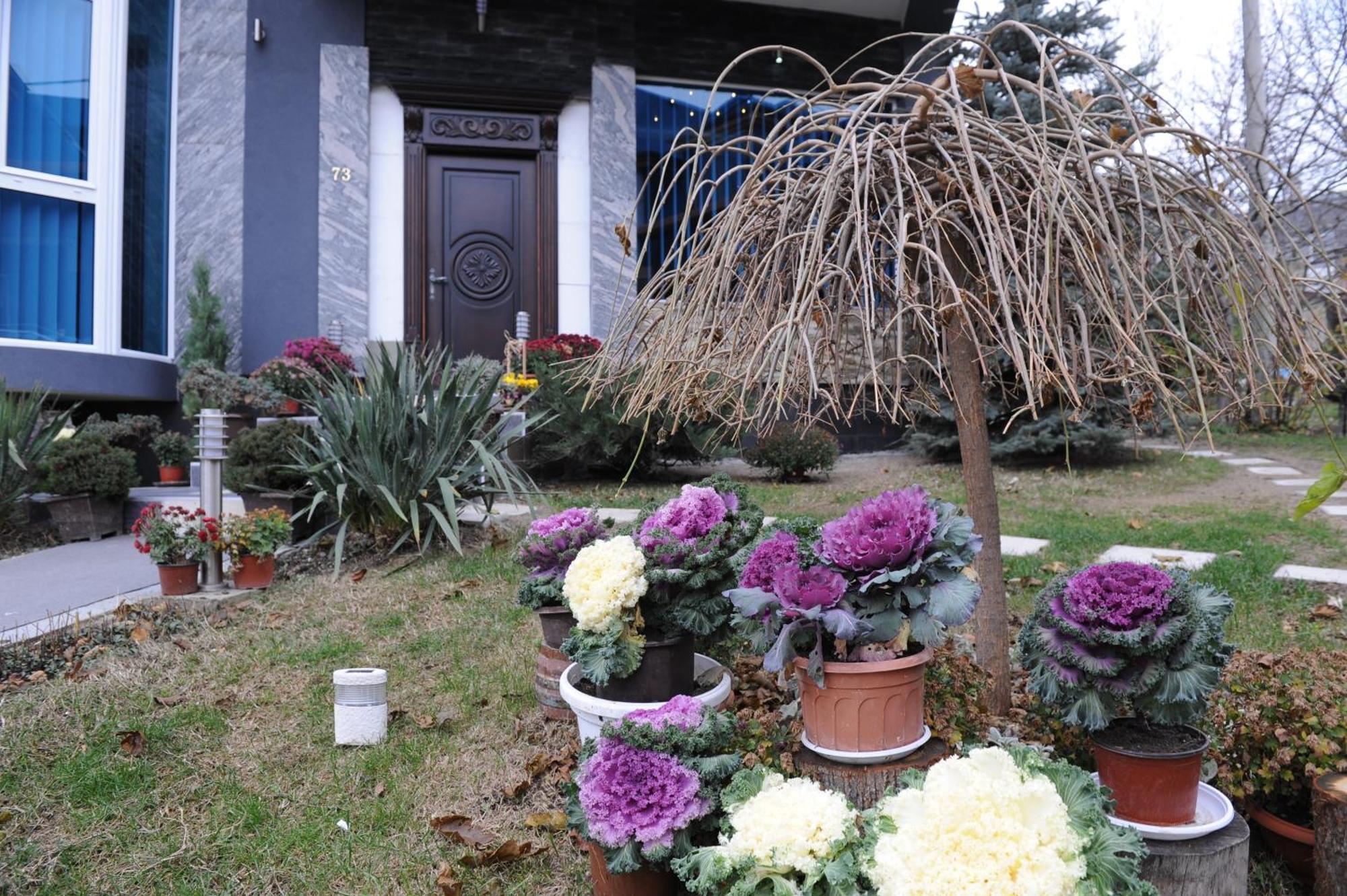 Garni Hotel Lama Kragujevac Kültér fotó